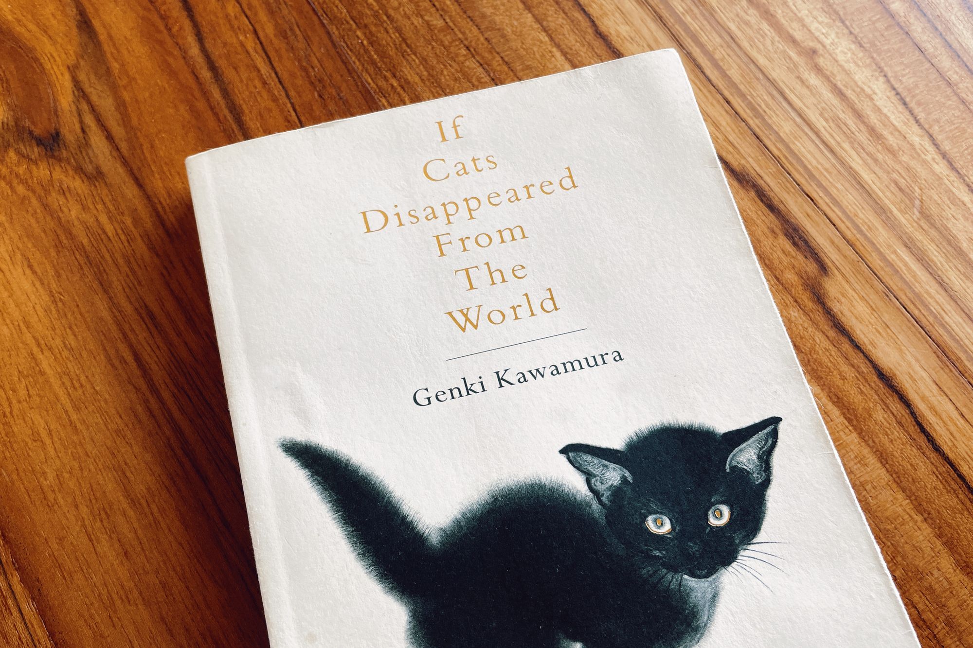 If cats disappeared from the world.