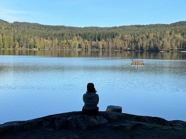The meaning of life cannot be found in OSLO.